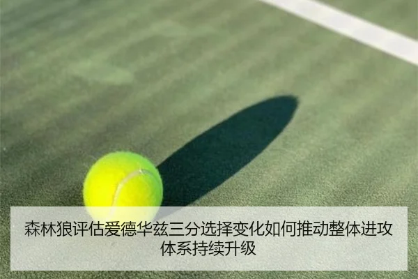 森林狼评估爱德华兹三分选择变化如何推动整体进攻体系持续升级